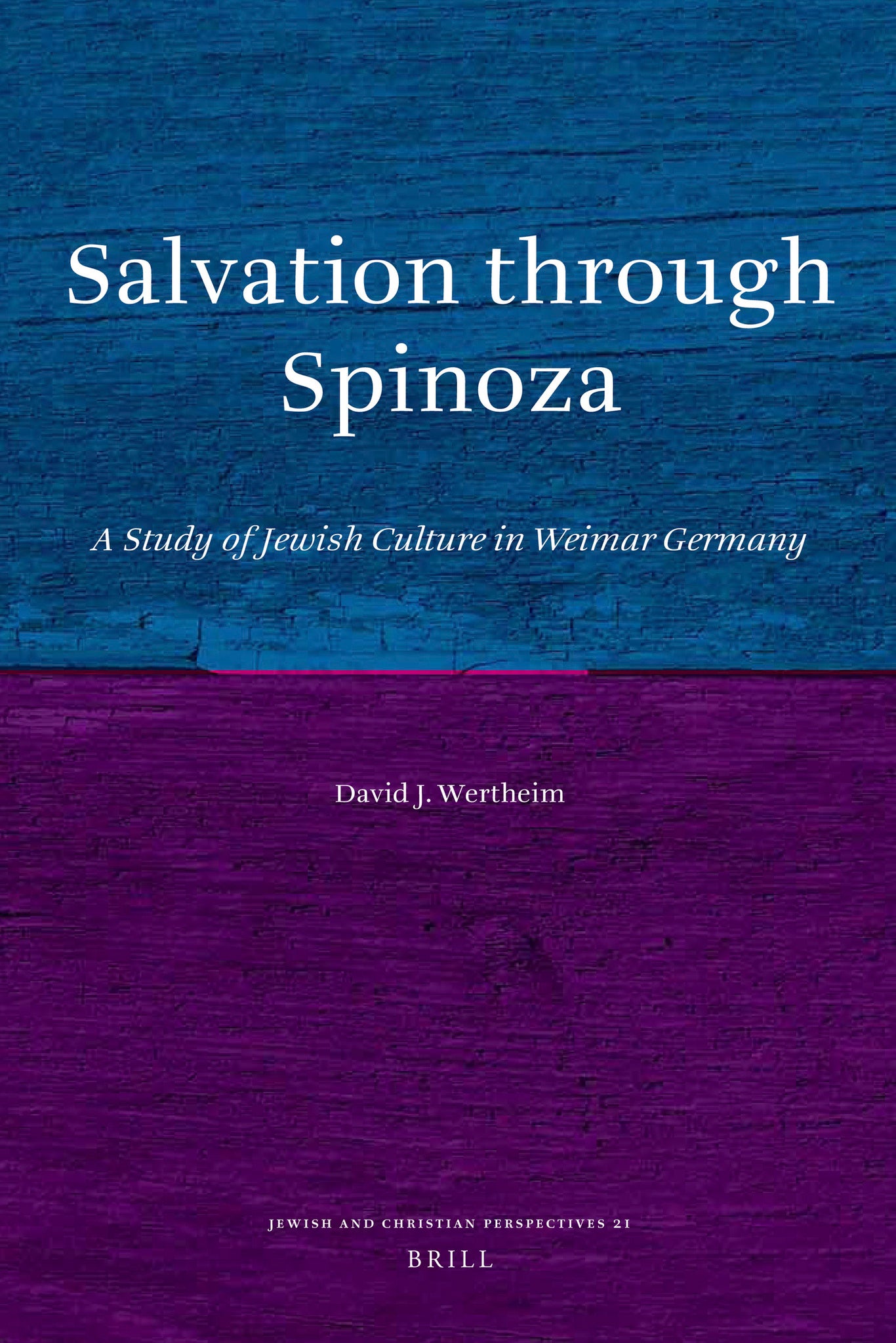 Cover image for Salvation through Spinoza ISBN 9789004207219